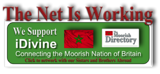 Our Net Is Working Banner