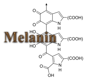 Our Melanin